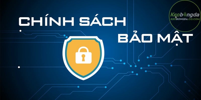 Một số câu hỏi thường gặp về chính sách bảo mật brandmastery.sa.com