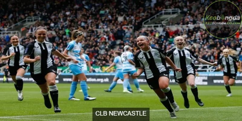 CLB Newcastle United với nhiều cầu thủ tài năng và ngôi  sao sáng giá