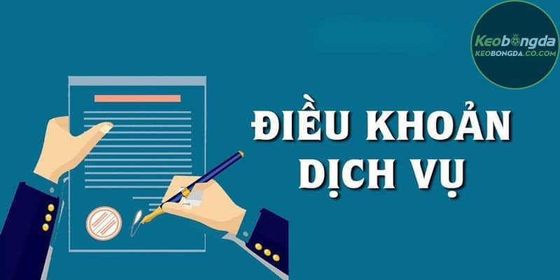 Cách thức cập nhật điều khoản và dịch vụ brandmastery.sa.com
