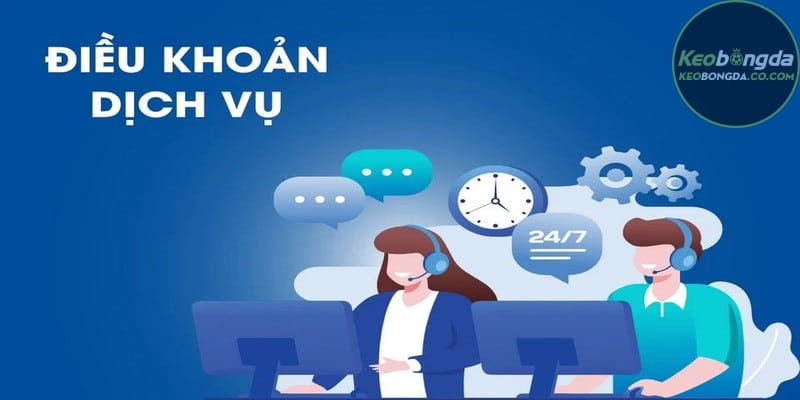 Những lợi ích khi hiểu rõ điều khoản và dịch vụ brandmastery.sa.com